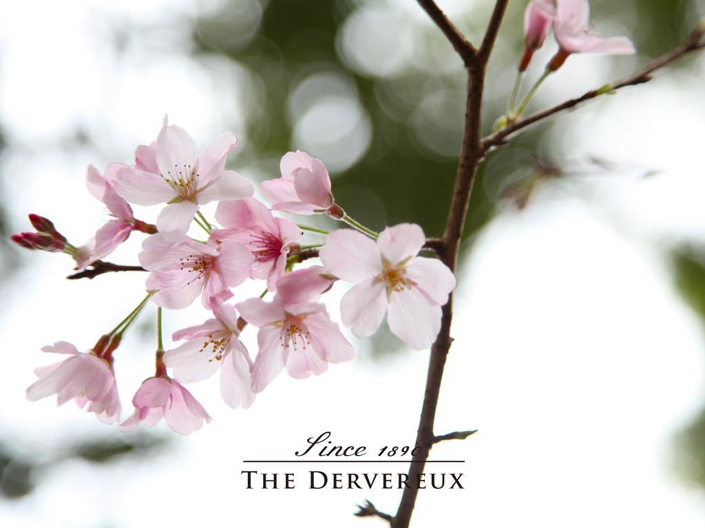 The Devereux Boutique Hotel Окленд Екстер'єр фото